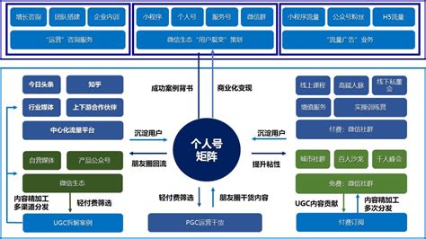 南京常规网络营销程序