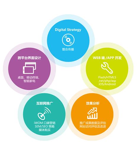 南京标准网络营销策略概况