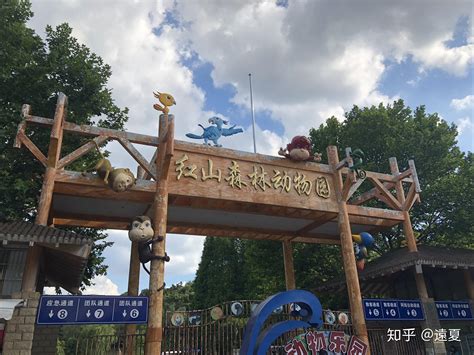 南京红山动物园退役军人免票吗