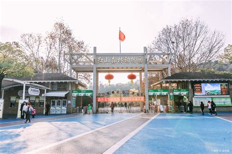 南京红山森林动物园门票涨价