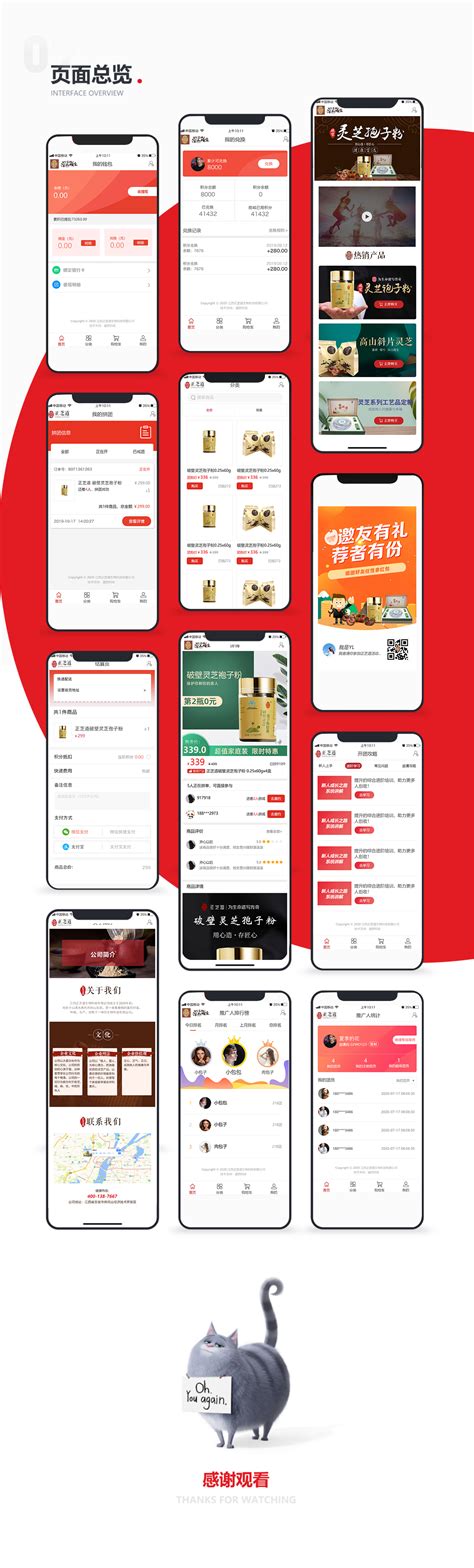 南昌网站推广app