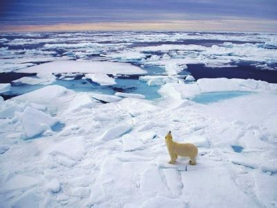 南极为什么比北极冷的原因