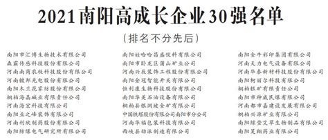 南阳市平台公司名单
