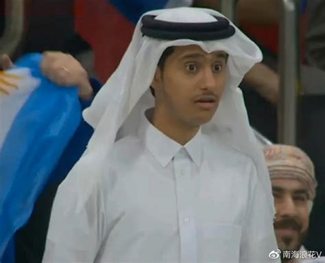 卡塔尔官方报道卡塔尔王子
