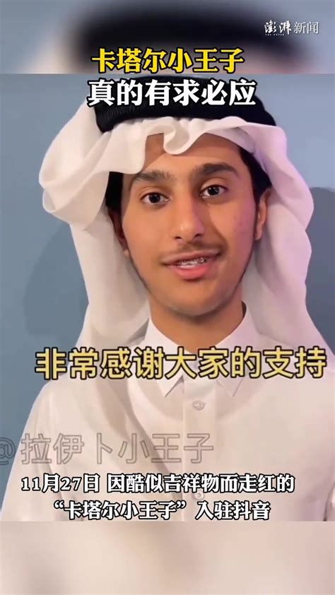 卡塔尔小王子走红视频