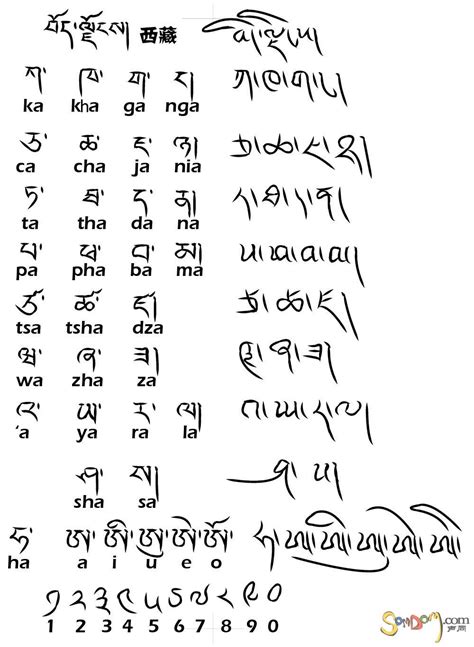 印地语和藏语
