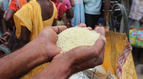 印度大米出口最新消息