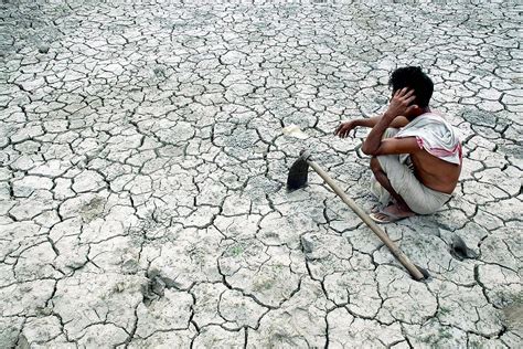 印度高温2023是真是假