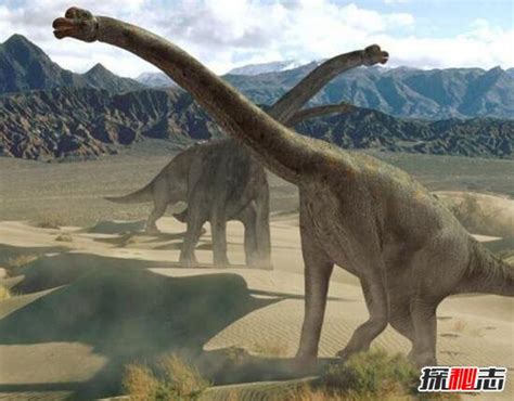 历史上真的有恐龙吗