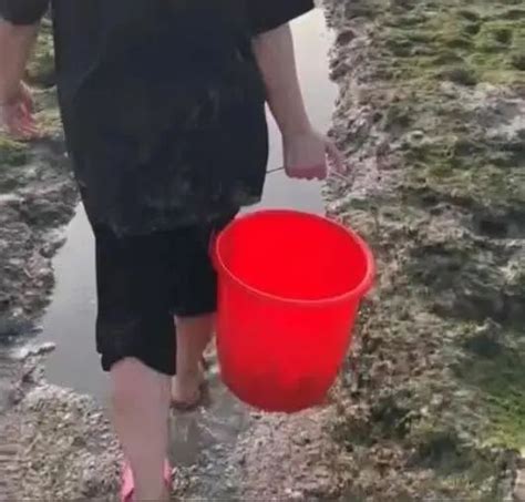 厦门挖花蛤溺亡的孩子找到了吗