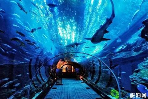 厦门海底世界和北京海洋馆