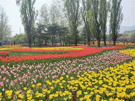 去北京植物园路线