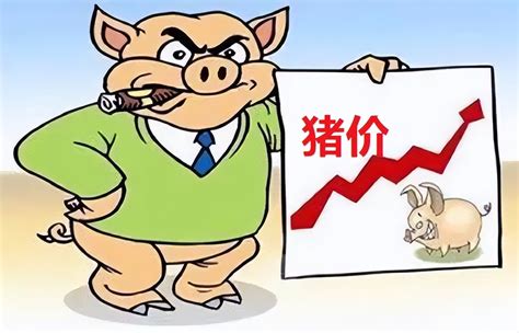 发改委谈2023下半年猪价行情
