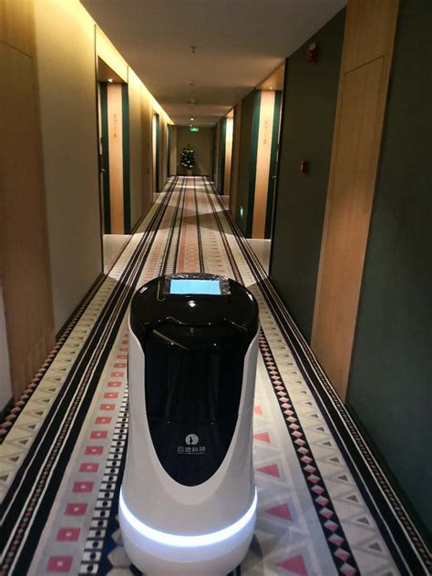 只有机器人服务的酒店