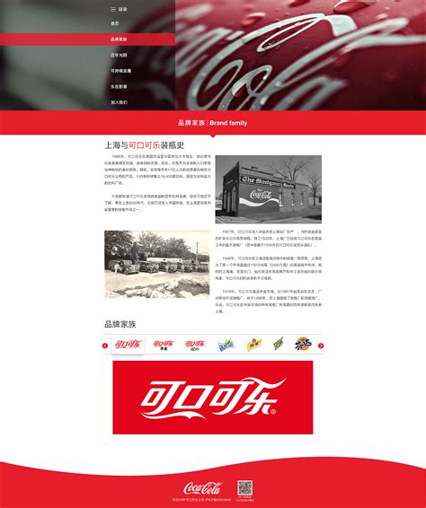 可口可乐公司网站调查项目分析