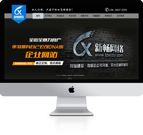 台州专业网站制作公司