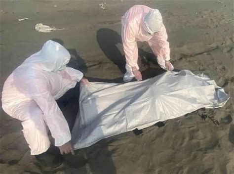 台湾海面20具浮尸