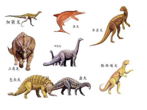 各个时代的恐龙