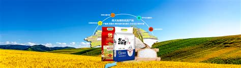 合肥米业厂家联系方式
