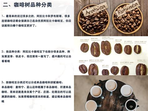 咖啡豆分类及口味详解