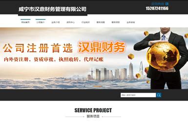 咸宁网站建设与运营案例