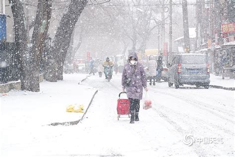 哈尔滨下雪的抖音视频
