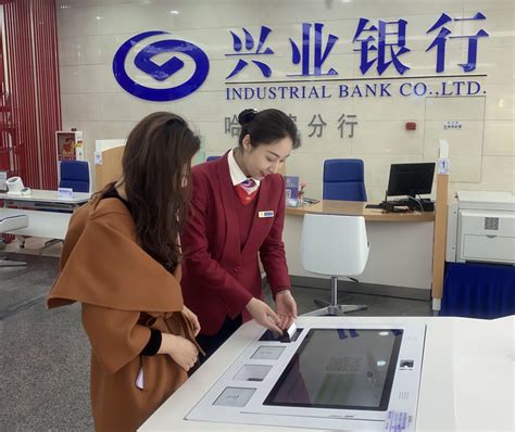 哈尔滨银行企业账户查询
