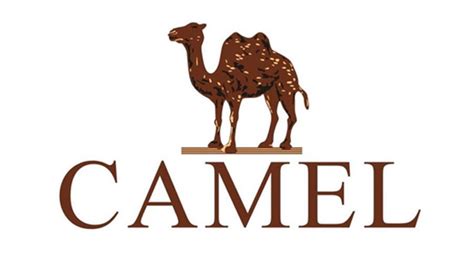 哪个骆驼品牌是正宗的