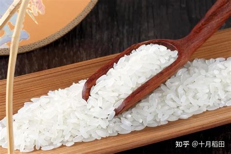 哪些米是属于粳米