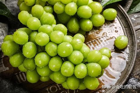 哪种葡萄是爱马仕