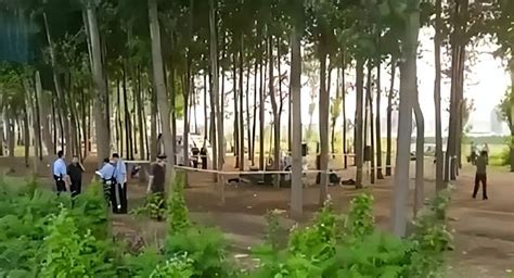 唐山2人小树林被害