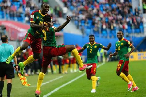 喀麦隆vs塞尔维亚4-0