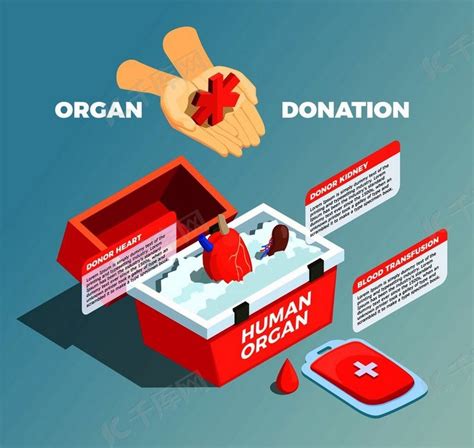 器官捐赠手续怎么处理