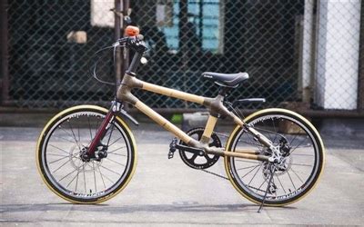 四川小伙制作竹子自行车卖到欧洲