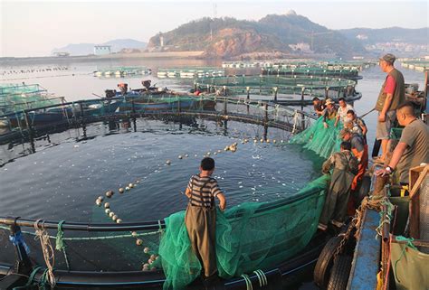 四川渔业养殖高密度黑鱼不缺氧