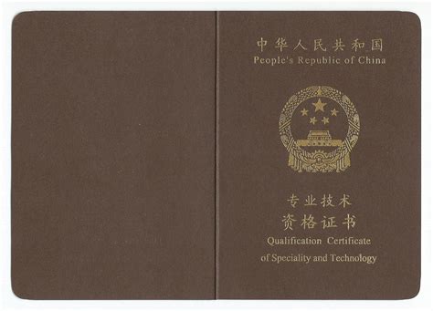 四川省专业技术资格证书查询官方网站