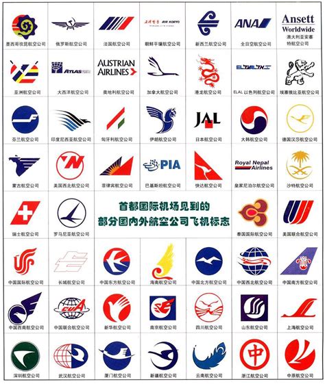 国内有哪些航空公司