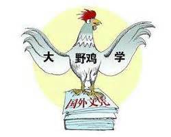国外的野鸡大学在中国承认学历吗