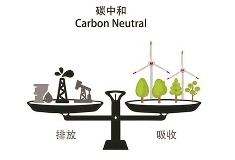 国家对碳达峰和碳中和的对策