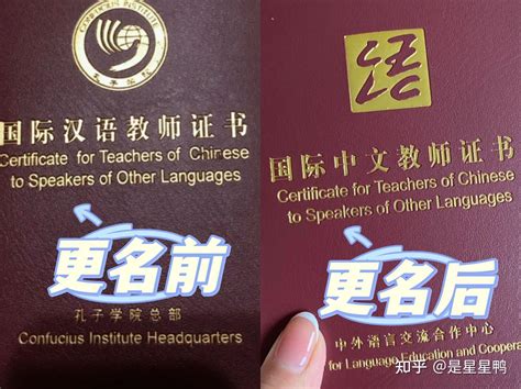 国际中文教师证书年龄限制