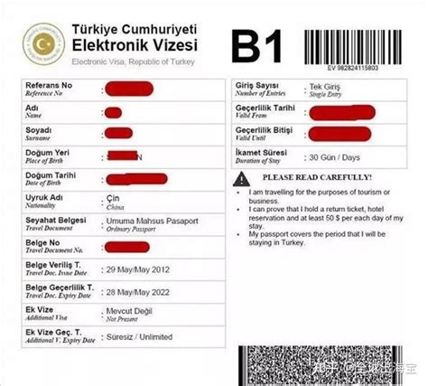 土耳其签证付款后没了