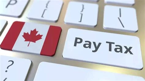 在加拿大有收入该如何报税
