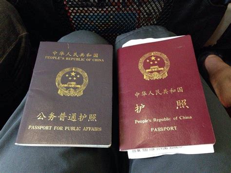 在濮阳能办出国护照吗