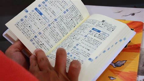 在线汉语字典查询