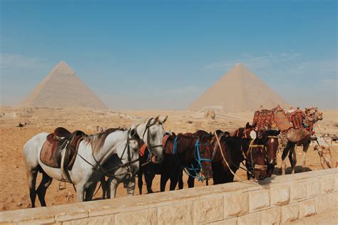埃及旅游需要花多少人民币