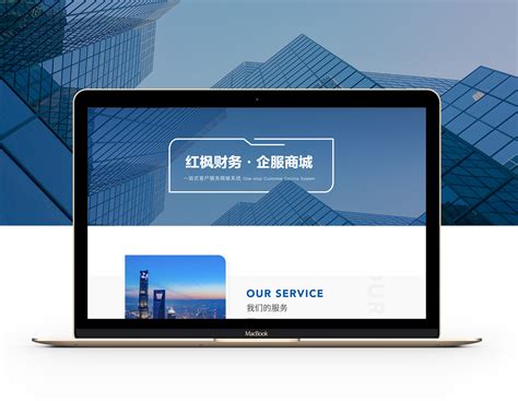 大型门户网站设计服务公司