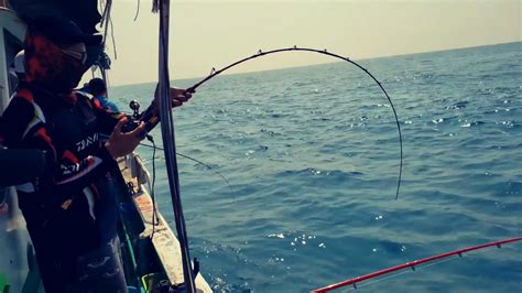 大海钓鱼高清视频