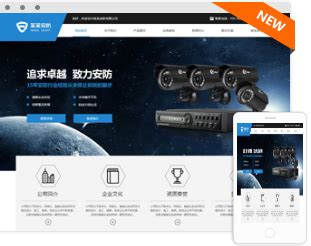 天津企业优化网站