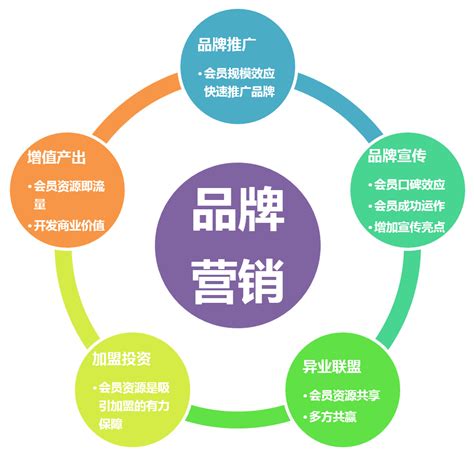 天津企业网络营销策略价格表