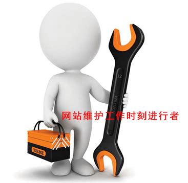 天津全速网站技术维护出厂价格